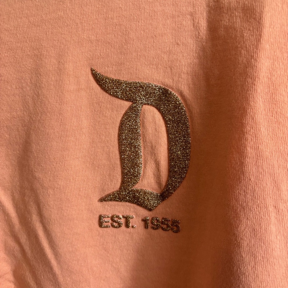 Disneyland spirit jersey - Picture 4 of 6